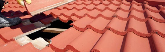 compare Little Haven roof repair quotes